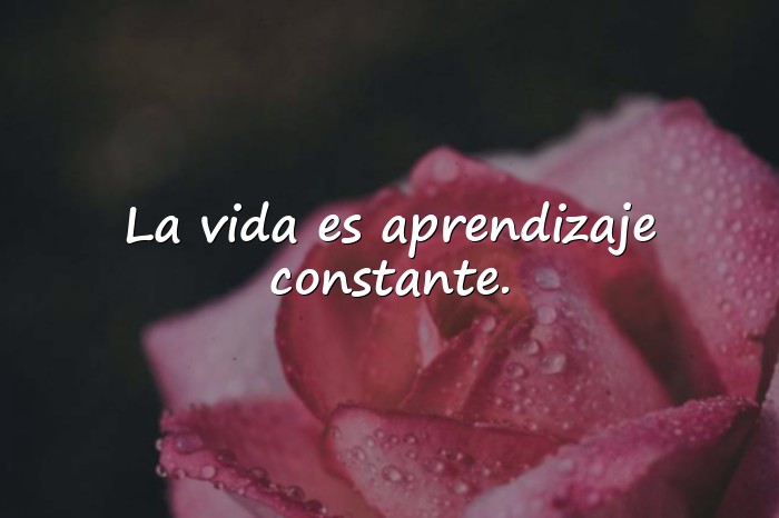 Imágenes frases de filosofia - 21