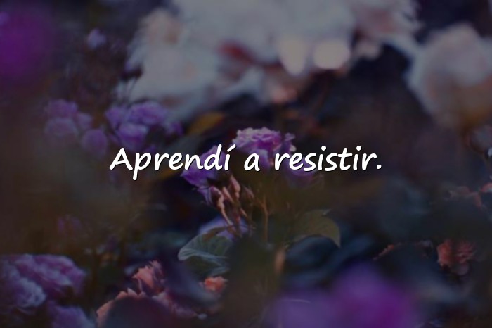 Imágenes frases de fortaleza - 10