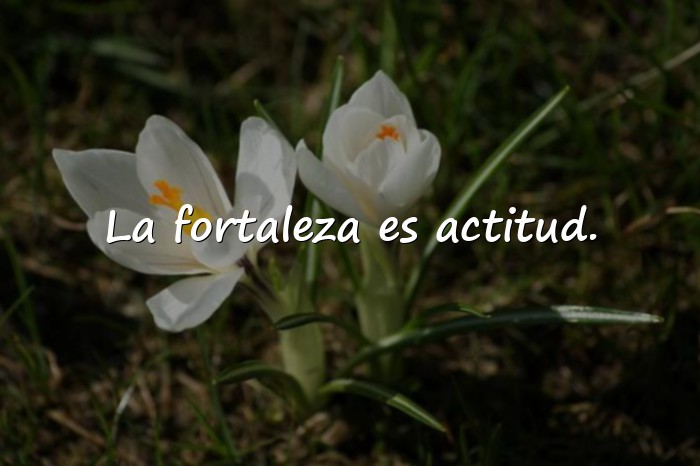 Imágenes frases de fortaleza - 5