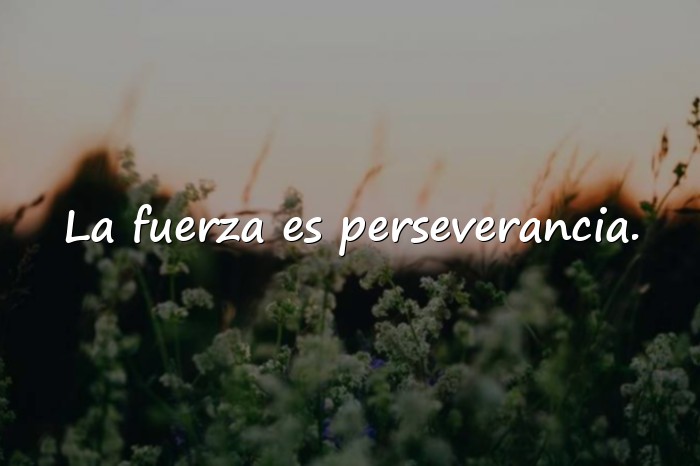 Imágenes frases de fortaleza - 1