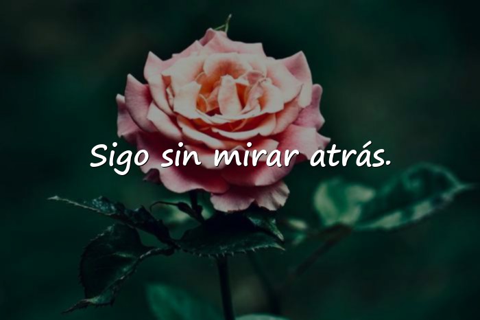 Imágenes frases de fortaleza - 11