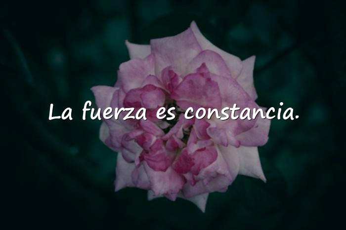 Imágenes frases de fortaleza - 6