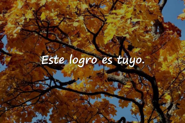 Imágenes frases de graduacion - 9