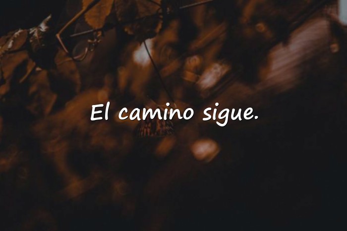 Imágenes frases de graduacion - 20