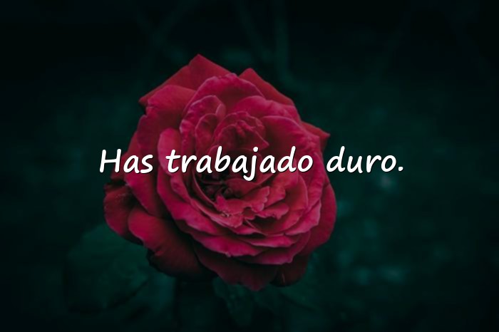 Imágenes frases de graduacion - 11