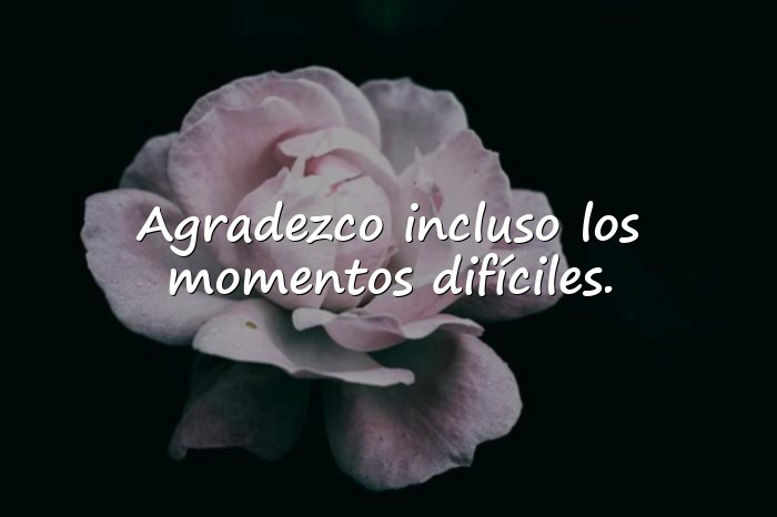 Imágenes frases de gratitud - 1