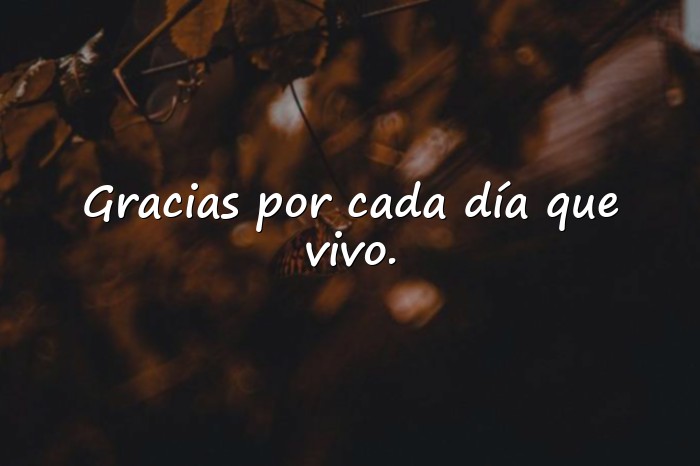 Imágenes frases de gratitud - 16