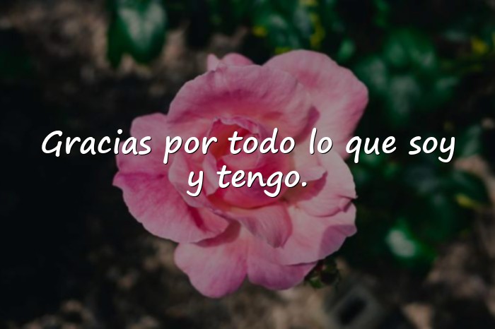 Imágenes frases de gratitud - 1