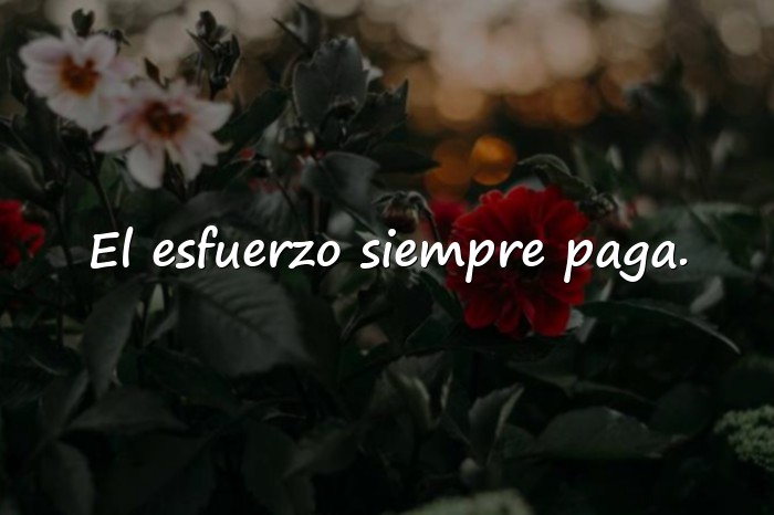 Imágenes frases de gym - 6