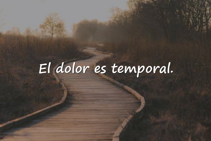 Imágenes frases de gym - 3