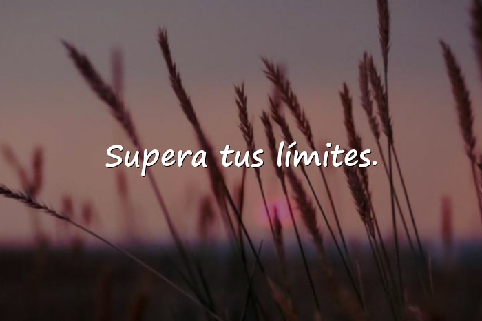 Imágenes frases de gym - 23