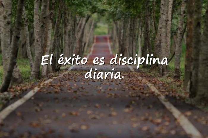 Imágenes frases de gym - 20