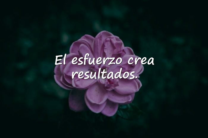 Imágenes frases de gym - 16