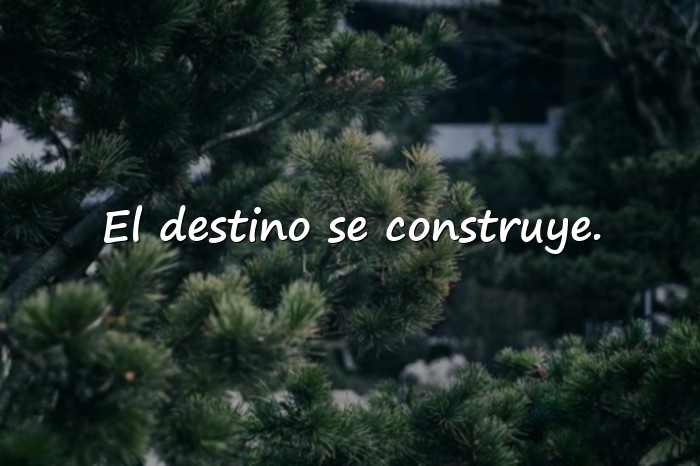 Imágenes frases de harry potter - 10