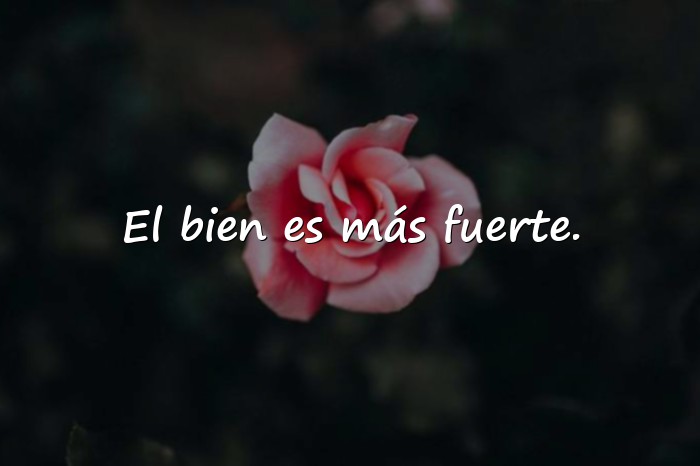 Imágenes frases de harry potter - 14