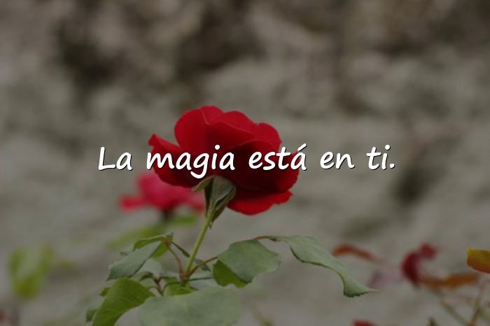 Imágenes frases de harry potter - 10