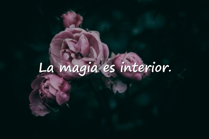 Imágenes frases de harry potter - 5