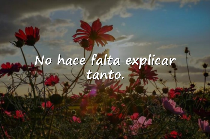 Imágenes frases de indirectas - 15