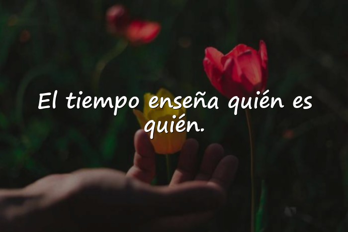 Imágenes frases de indirectas - 1