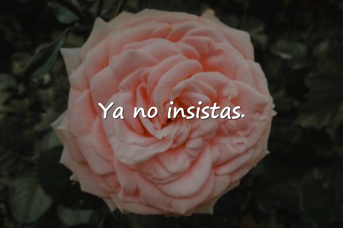 Imágenes frases de indirectas - 16