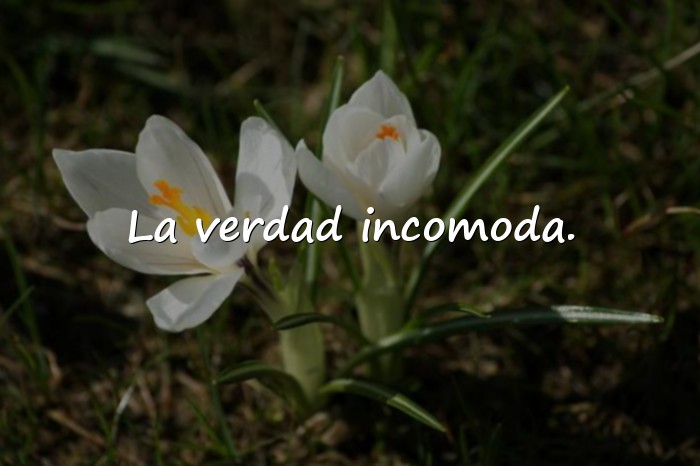 Imágenes frases de indirectas - 11