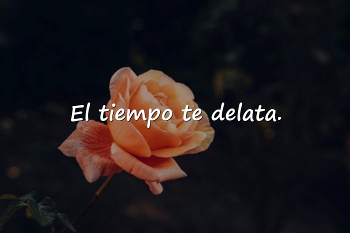 Imágenes frases de indirectas - 6