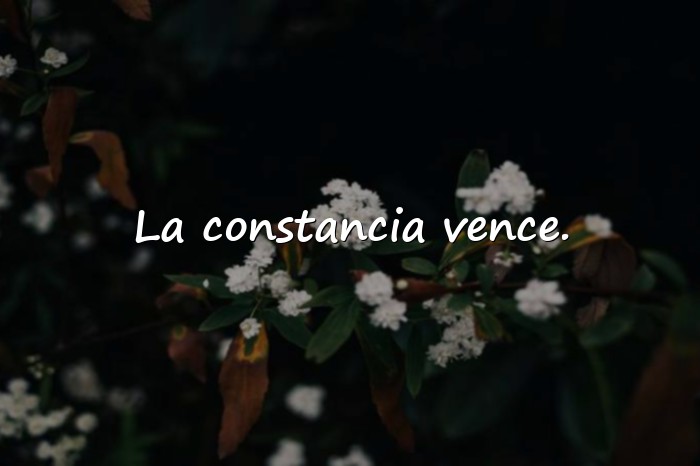 Imágenes frases de inspiracion - 20