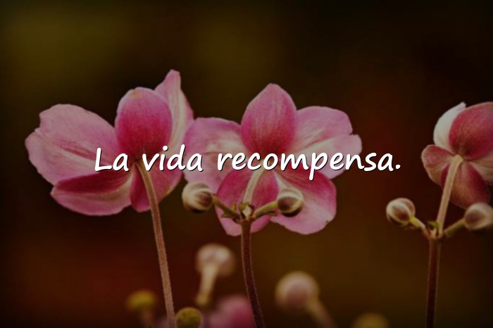 Imágenes frases de inspiracion - 10