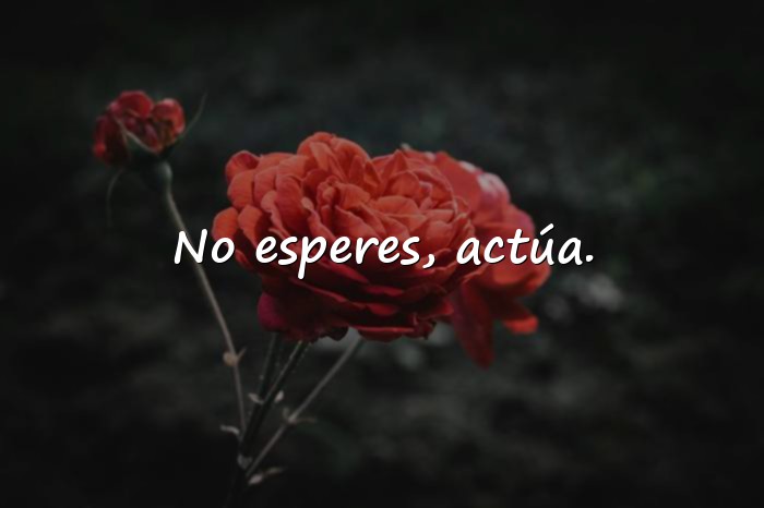 Imágenes frases de inspiracion - 6