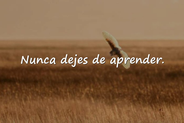 Imágenes frases de inspiracion - 3