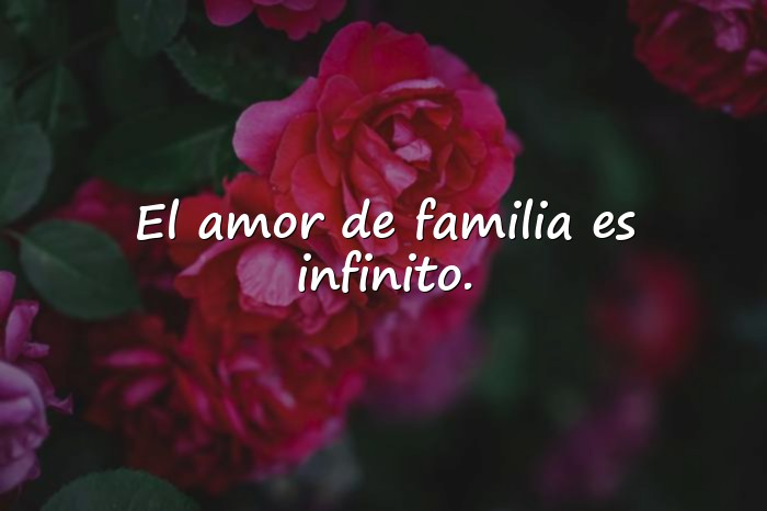 Imágenes frases de la familia - 14