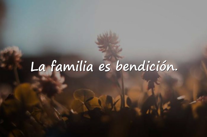 Imágenes frases de la familia - 9