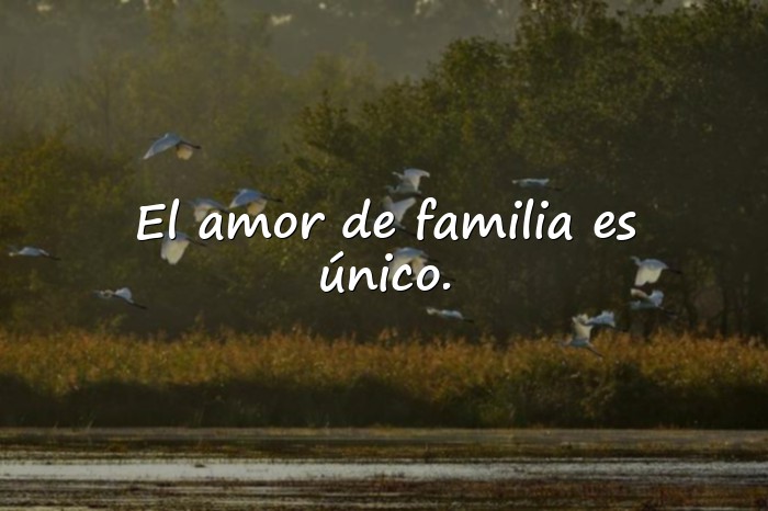 Imágenes frases de la familia - 25