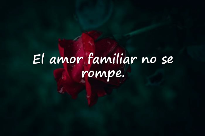 Imágenes frases de la familia - 20