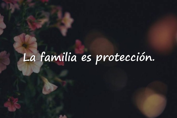 Imágenes frases de la familia - 18