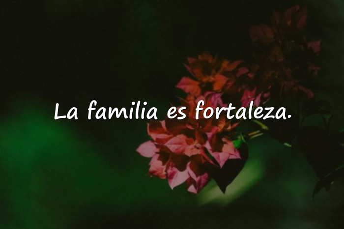 Imágenes frases de la familia - 10