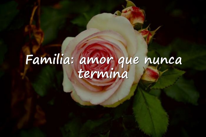 Imágenes frases de la familia - 1