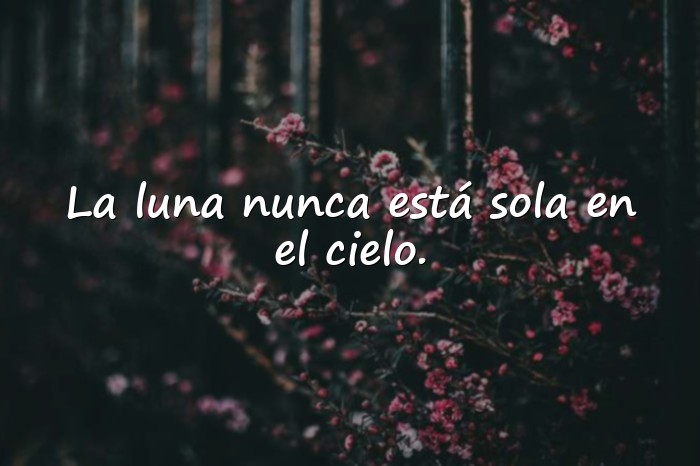 Imágenes frases de la luna - 11