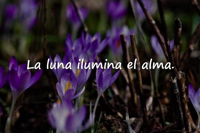 Imágenes frases de la luna - 23