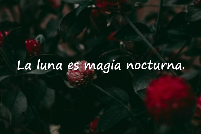 Imágenes frases de la luna - 19
