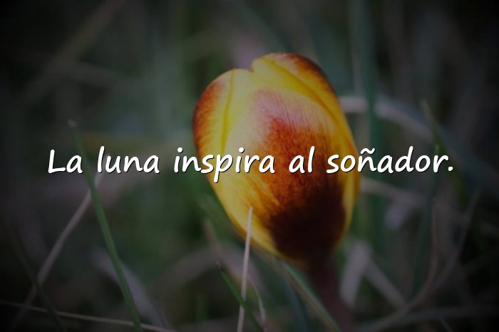 Imágenes frases de la luna - 11