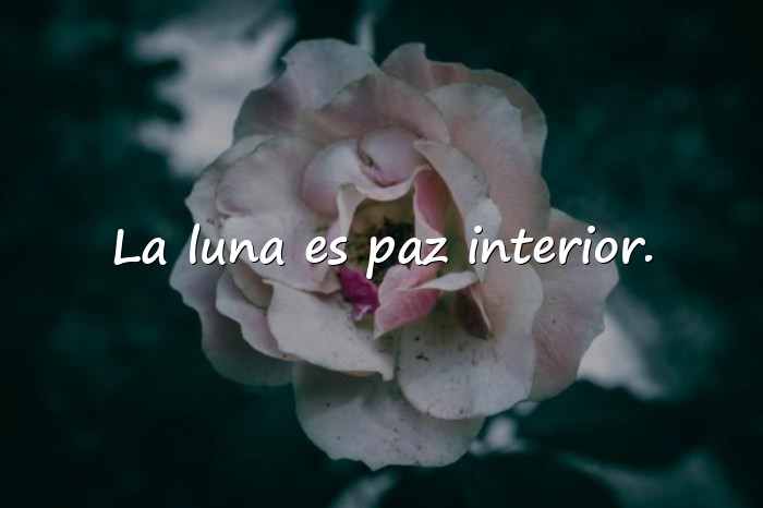 Imágenes frases de la luna - 8