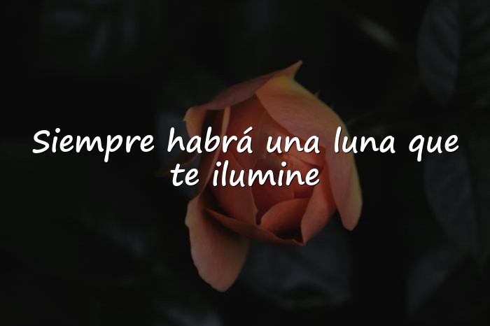 Imágenes frases de la luna - 1