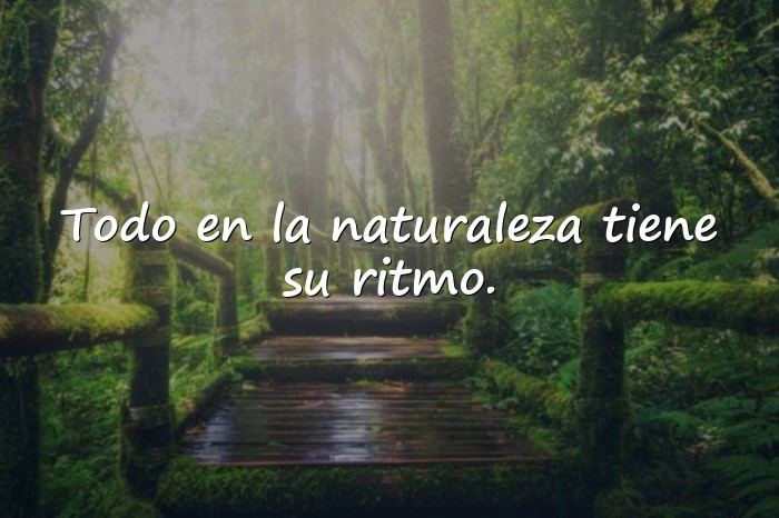 Imágenes frases de la naturaleza - 20
