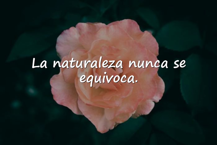 Imágenes frases de la naturaleza - 15
