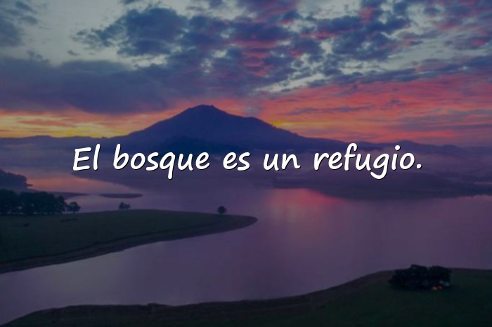 Imágenes frases de la naturaleza - 10