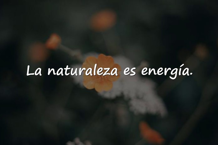 Imágenes frases de la naturaleza - 20