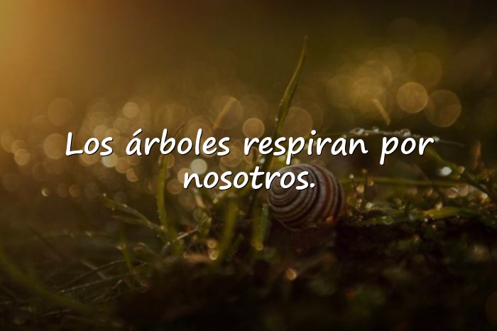 Imágenes frases de la naturaleza - 15