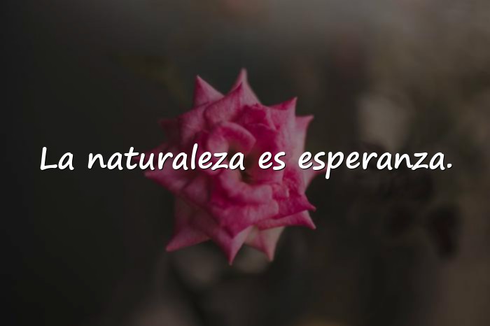Imágenes frases de la naturaleza - 10