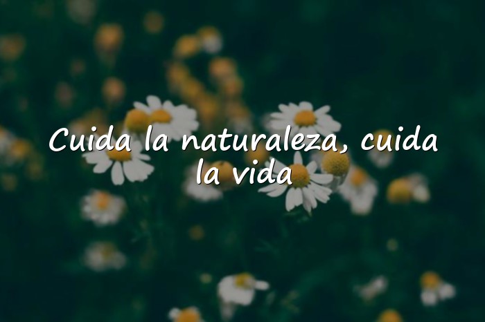 Imágenes frases de la naturaleza - 1
